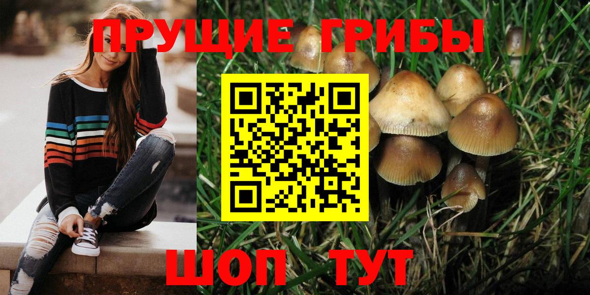 Псилоцибиновые грибы Cubensis  Вход с VPN  Псилоцибиновые грибы MAGIC MUSHROOMS  Карпинск 